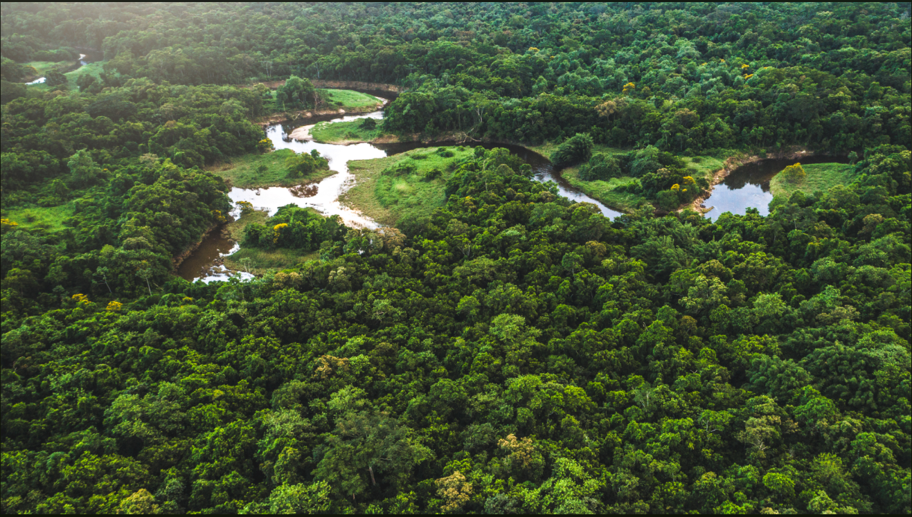 Histórias de um planeta mais azul